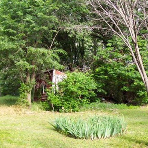 From Brooder House To Chicken House